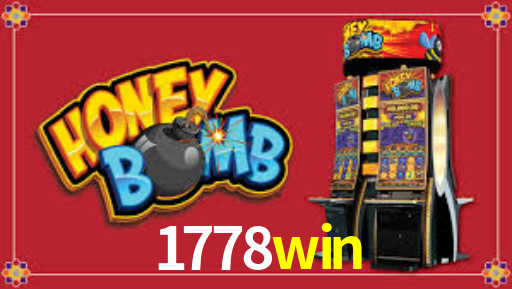 Interface Premium 1778win